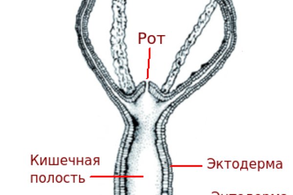 Кракен kr2link co